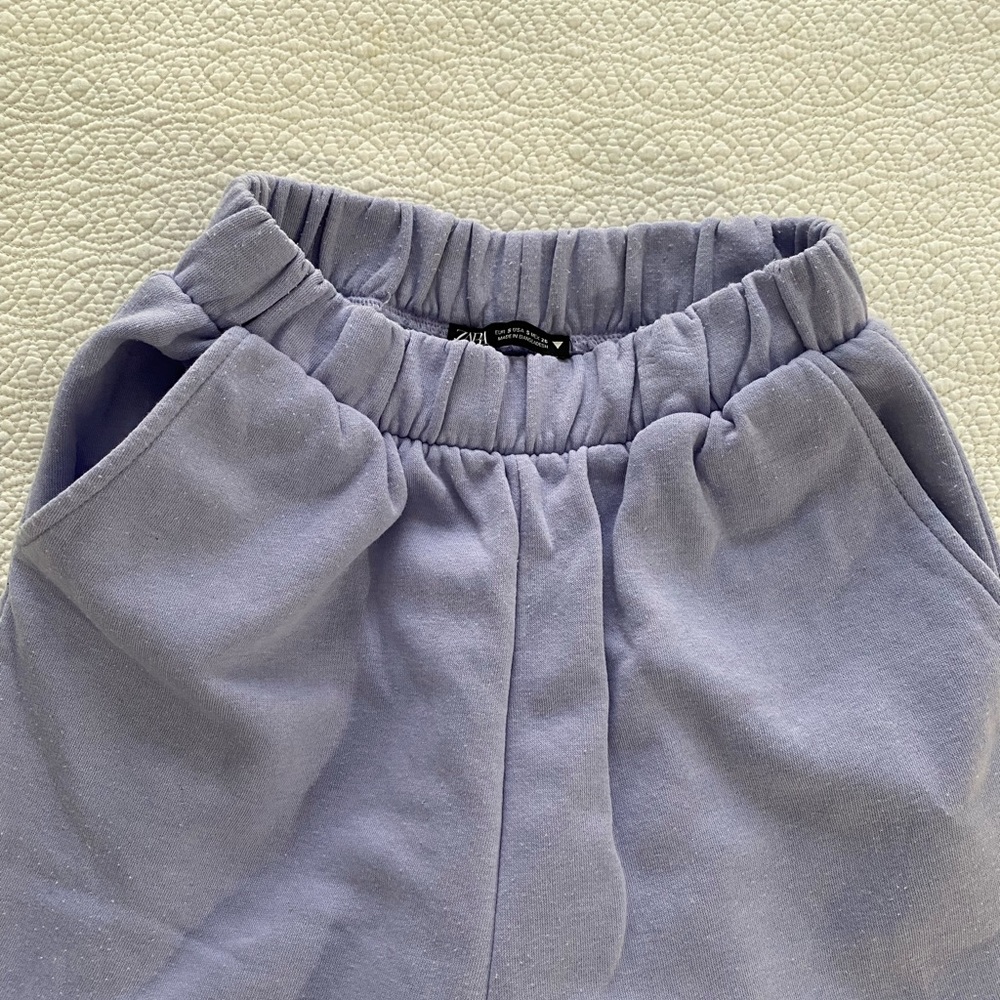 Zara purple sweat pants